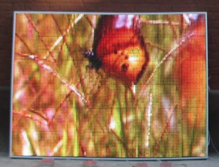 видео экран шаг пикселя 16 мм